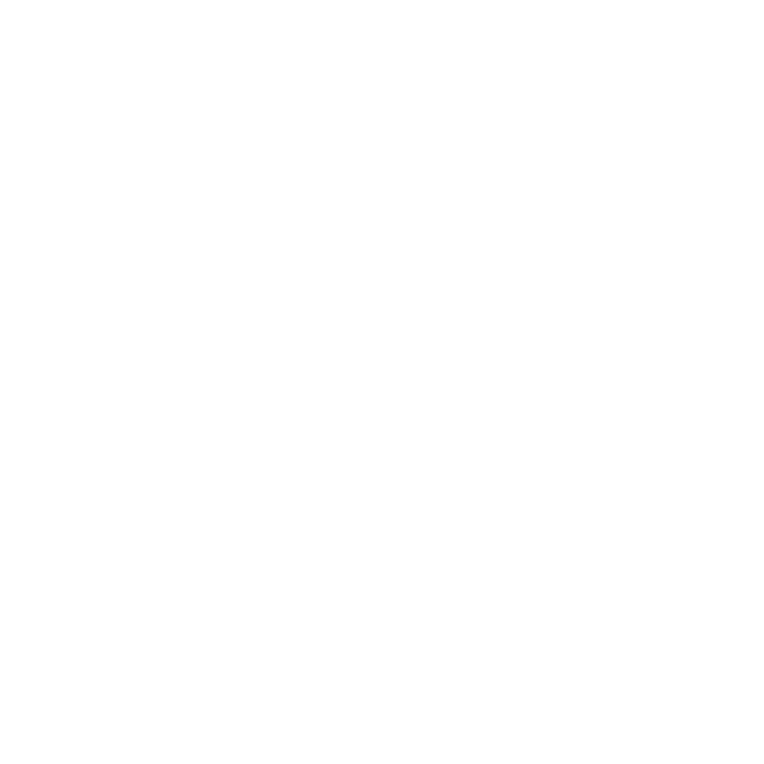 Marketing Strategies / Data Analysis